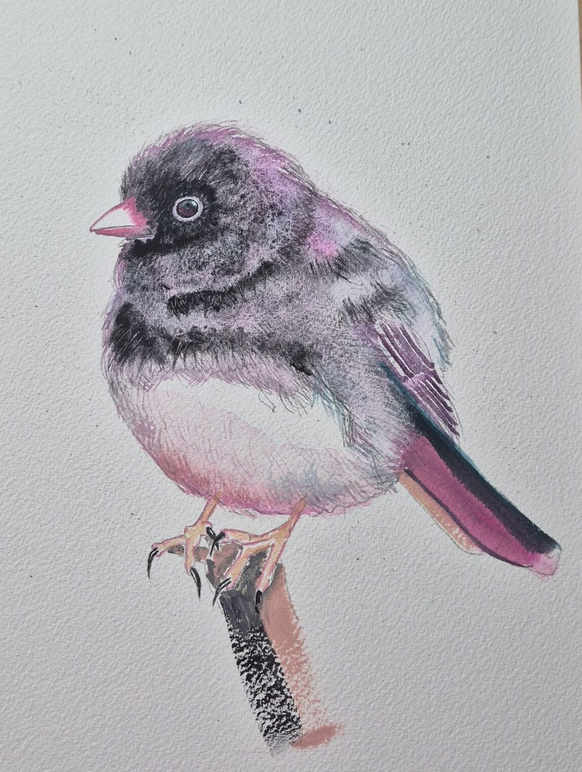 Roze veren - origineel